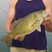 A nice 4 1/2 lb Small mouth bass taken from Lake Erie during August.